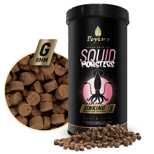 Ilustração Produto Squid